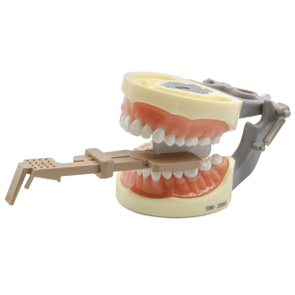 Gancho Para Rx Snap Curvo -Marca: Anelsam Instrumental Rayos X | Odontology BG