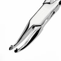 Pinza How Curva Aniversario Deposito Dental Odontology BG