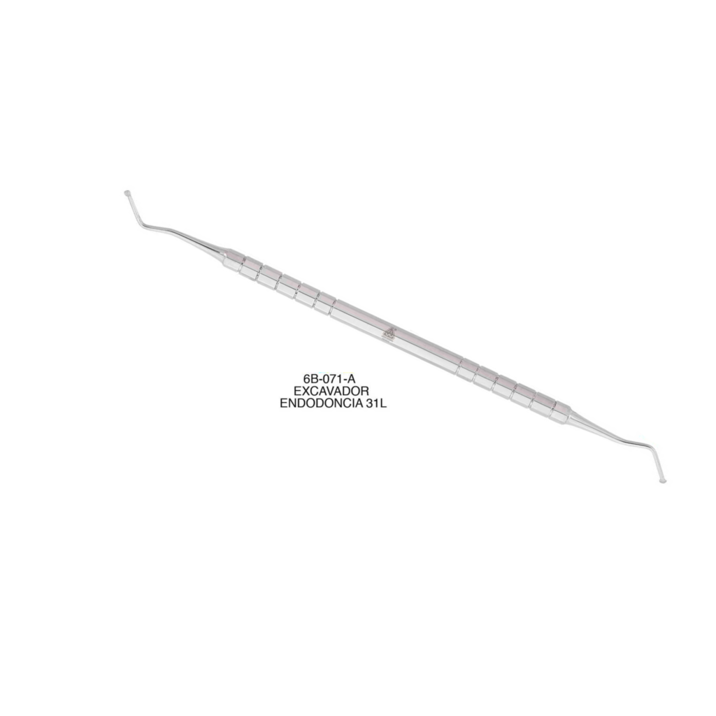 Excavador para Endodoncia 31L Instrumental de Endodoncia Deposito Dental Odontology BG