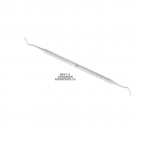 Excavador para Endodoncia 31L Aniversario Deposito Dental Odontology BG