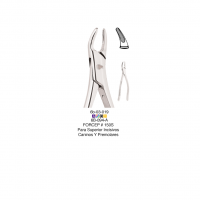 Fórceps Adulto 150S Aniversario Deposito Dental Odontology BG