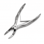 Fórceps Infantil 562 -Marca: 6B Germany Cirugía | Odontology BG