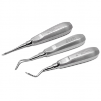 Elevador Heidenbrick Aniversario Deposito Dental Odontology BG