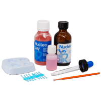 Núcleo Lay Estuche Acrílicos Deposito Dental Odontology BG