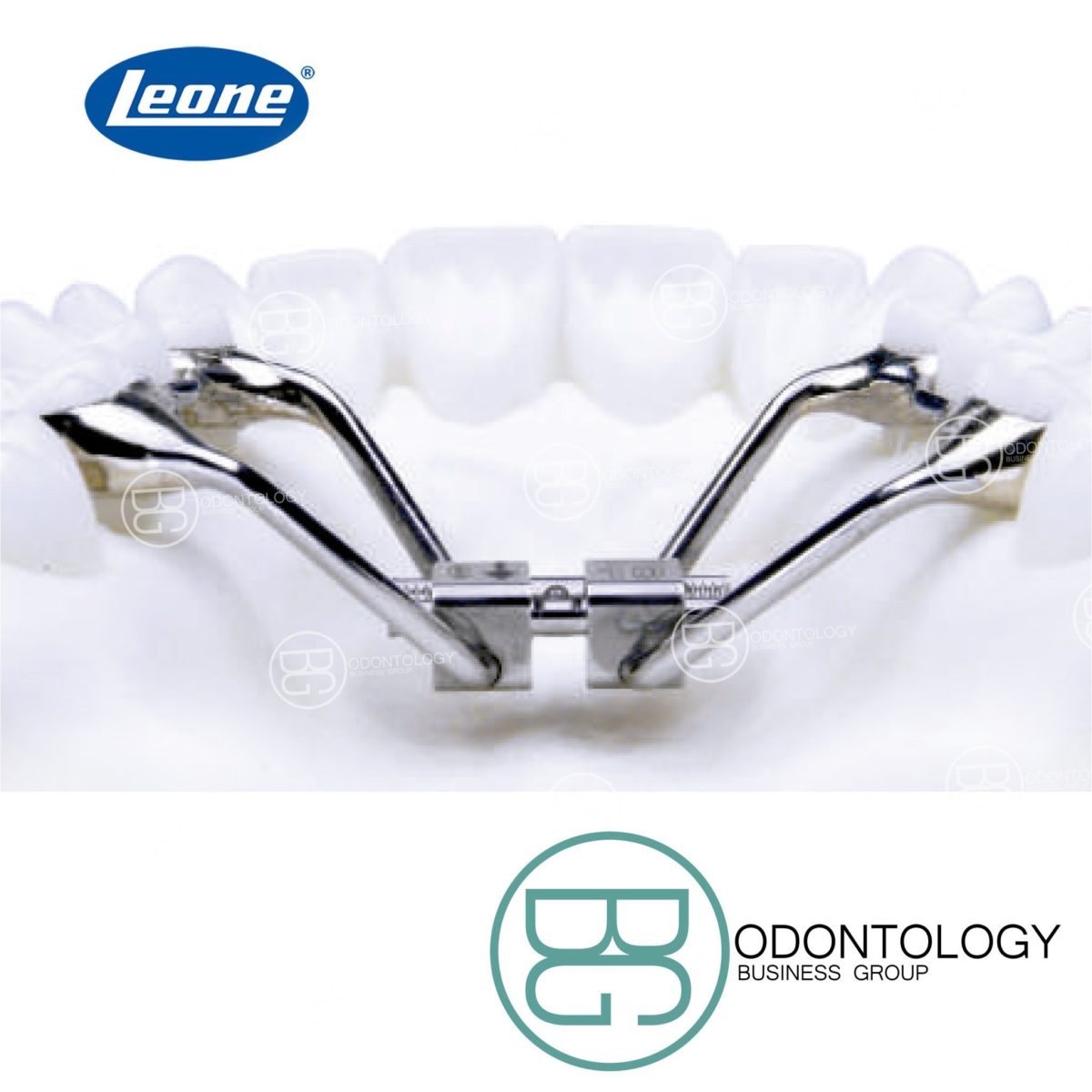 Disyuntor Brazos Octagonales -Marca: Leone Tornillos | Odontology BG