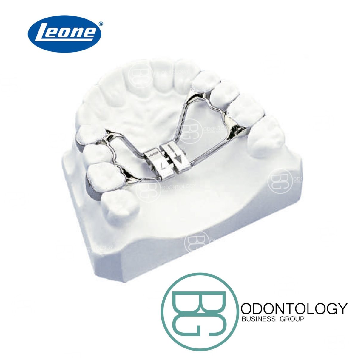 Disyuntor Guía Telescopica -Marca: Leone Tornillos | Odontology BG