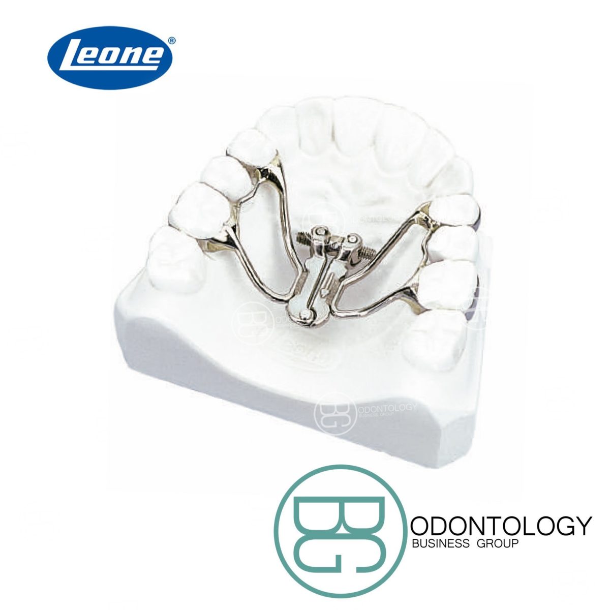 Disyuntor Rápido En Abanico -Marca: Leone Tornillos | Odontology BG