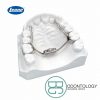 Disyuntor Rápido Monobrazo -Marca: Leone Tornillos | Odontology BG