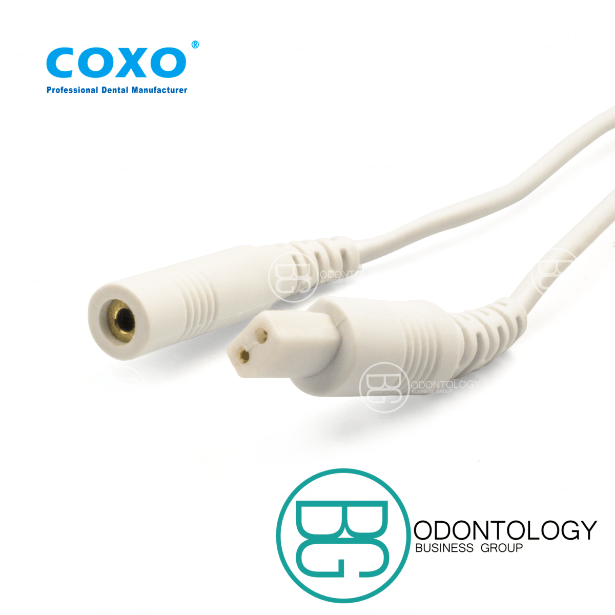 Rotatorio Endo Pro -Marca: COXO Equipo De Endodoncia | Odontology BG