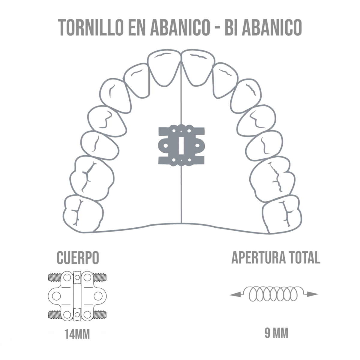 Tornillo de Abanico - Bi Abanico -Marca: Leone Tornillos | Odontology BG