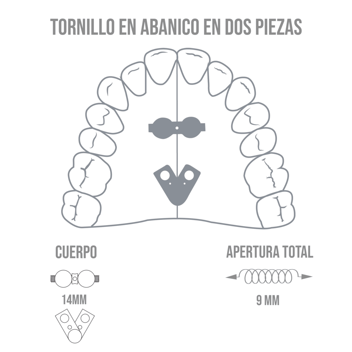 Tornillo de Abanico en Dos Piezas -Marca: Leone Tornillos | Odontology BG