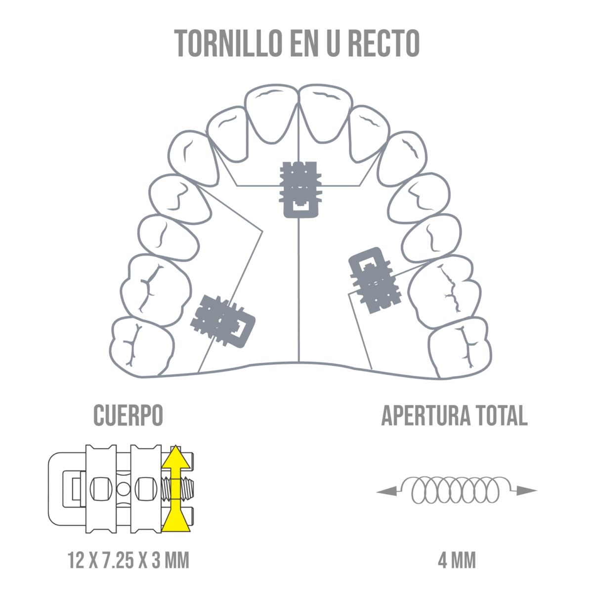 Tornillo En U Recto -Marca: Leone Tornillos | Odontology BG