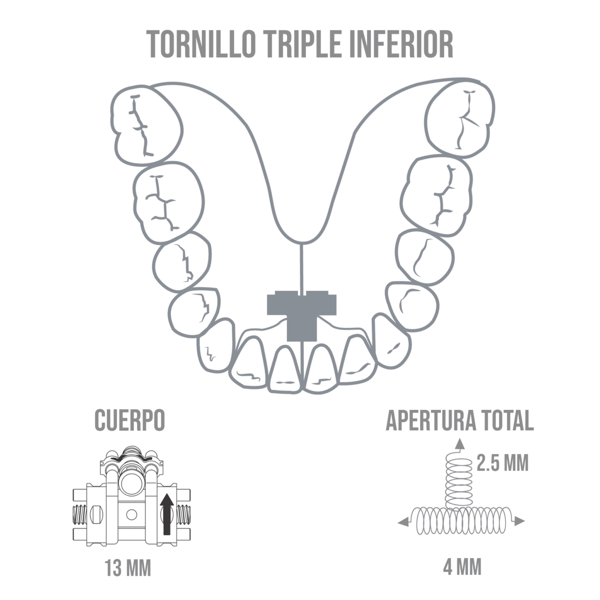 Tornillo Triple Inferior -Marca: Leone Tornillos | Odontology BG