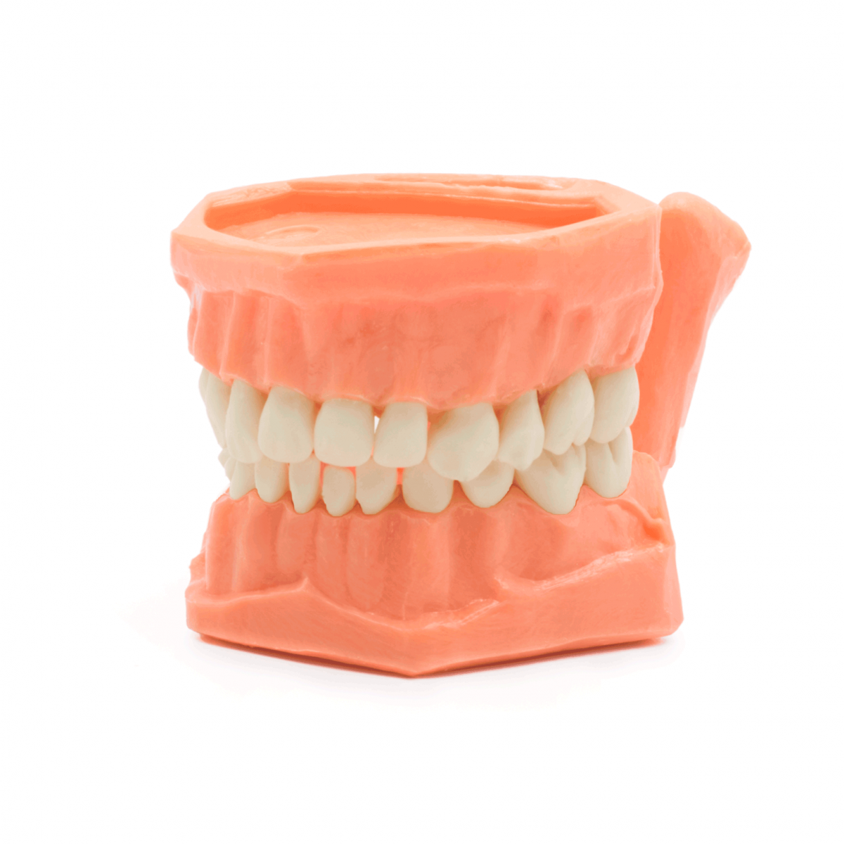 Tipodonto Acrílico -Marca: Genérica Oficina | Odontology BG