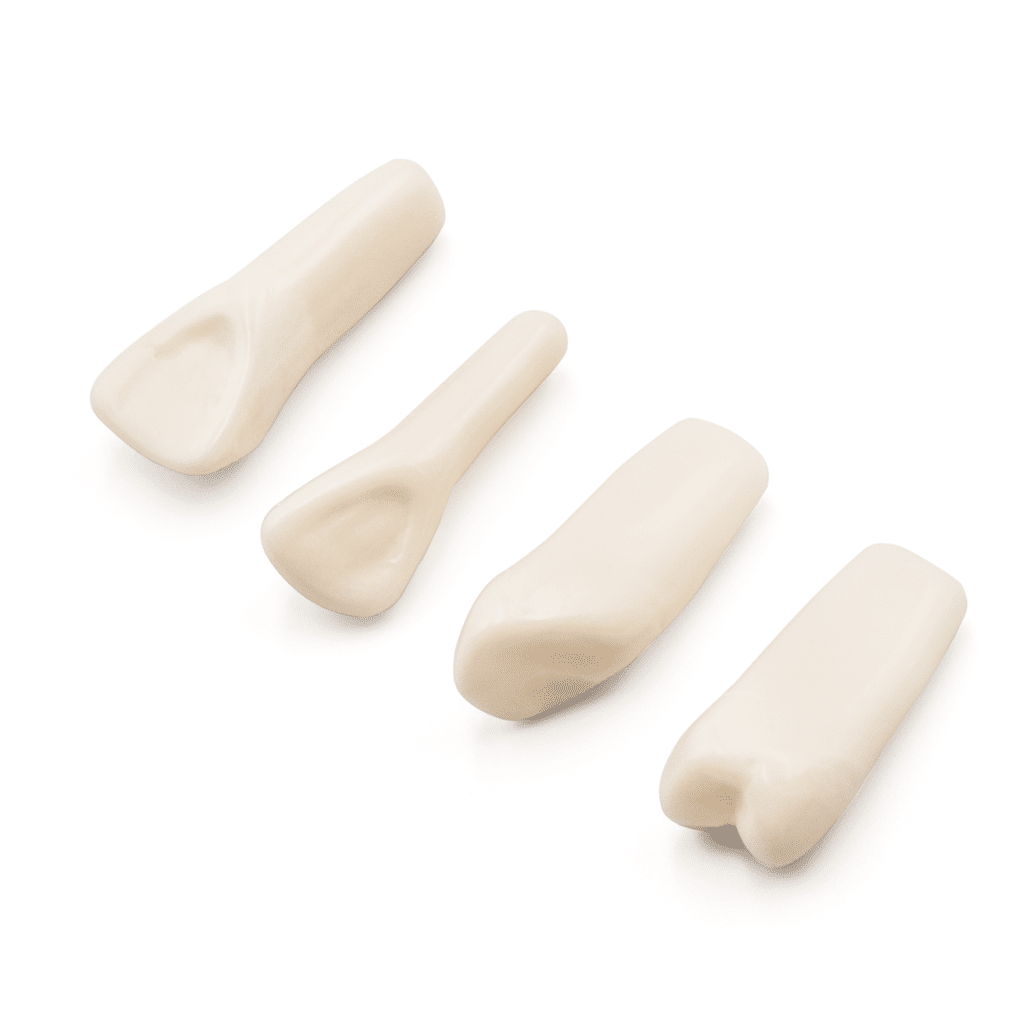 Dientes Tipodonto 860 -Marca: Genérica Articuladores | Odontology BG