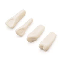 Dientes Tipodonto 860 -Marca: Genérica Articuladores | Odontology BG