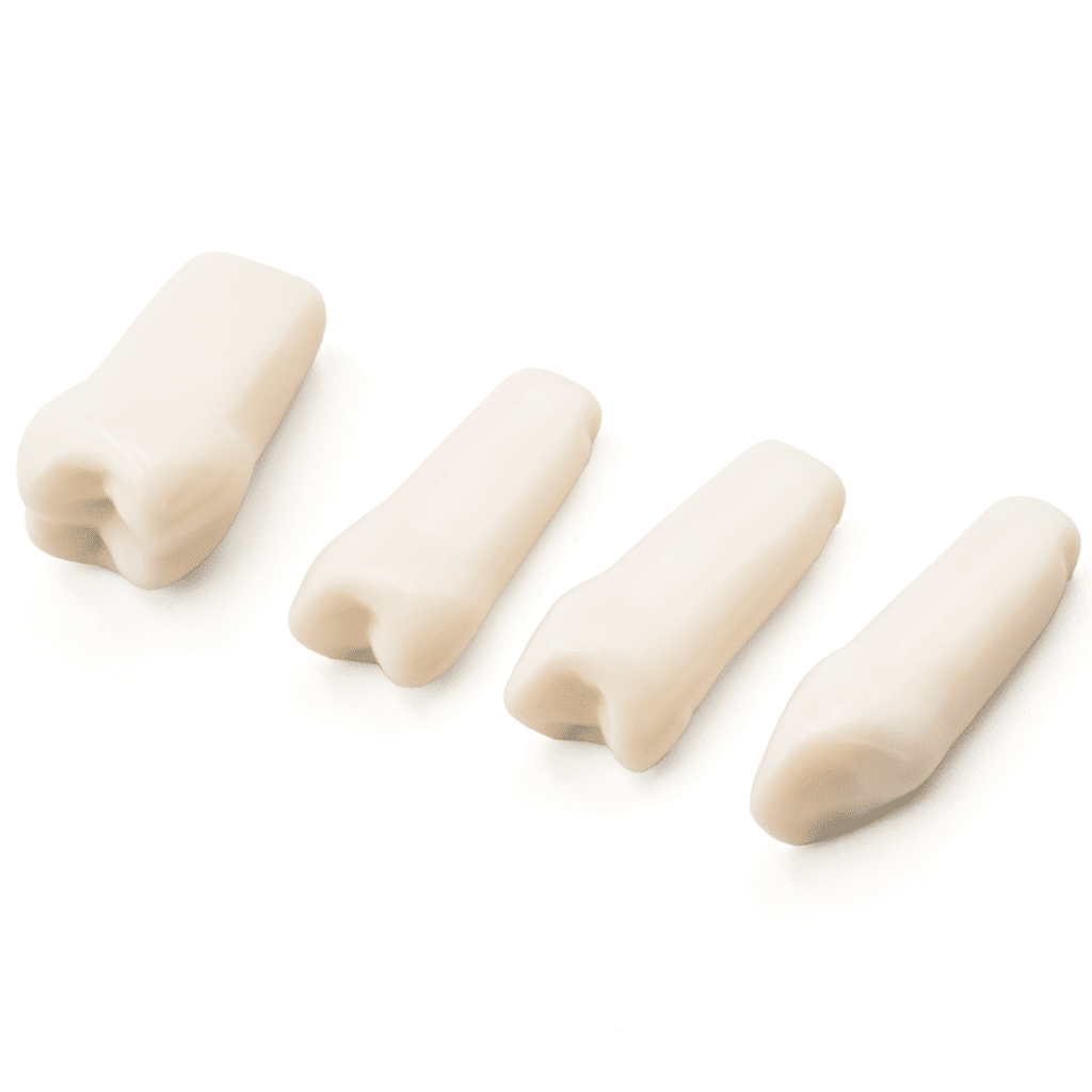 Dientes Tipodonto 200G -Marca: Genérica Articuladores | Odontology BG