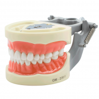 Tipodonto 200G Encía Suave -Marca: Genérica Articuladores | Odontology BG