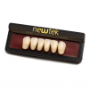 Dientes de Resina Anteriores - Inferiores -Marca: new tek Consumibles de Laboratorio | Odontology BG