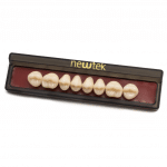 Dientes de Resina Posteriores - Superiores -Marca: new tek Consumibles de Laboratorio | Odontology BG