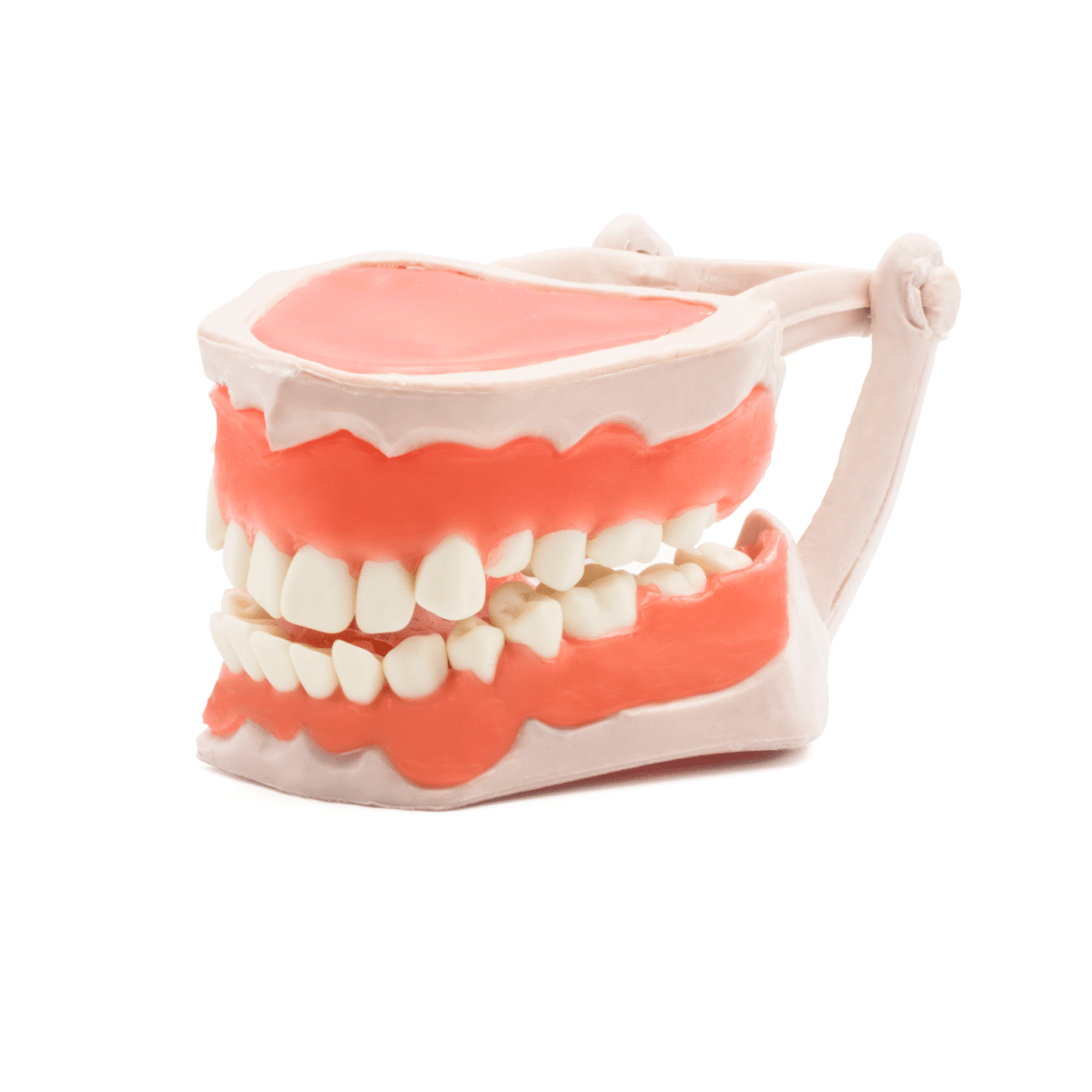 Tipodonto -Marca: Tirden Articuladores | Odontology BG