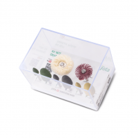 Kit Denture De Pulido 1877