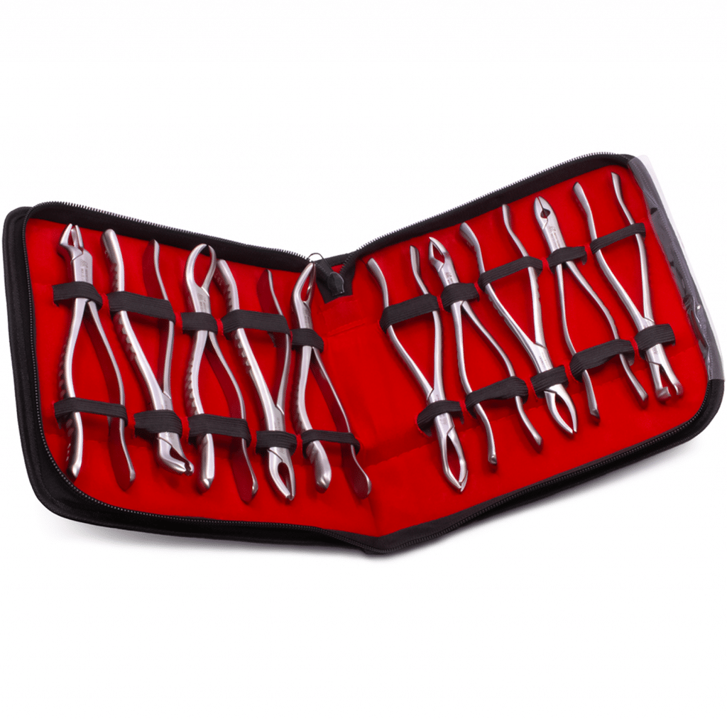 Estuche Forceps Adulto Cirugía Deposito Dental Odontology BG