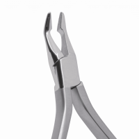 Pinza Weingart Gruesa (5610) Aniversario Deposito Dental Odontology BG