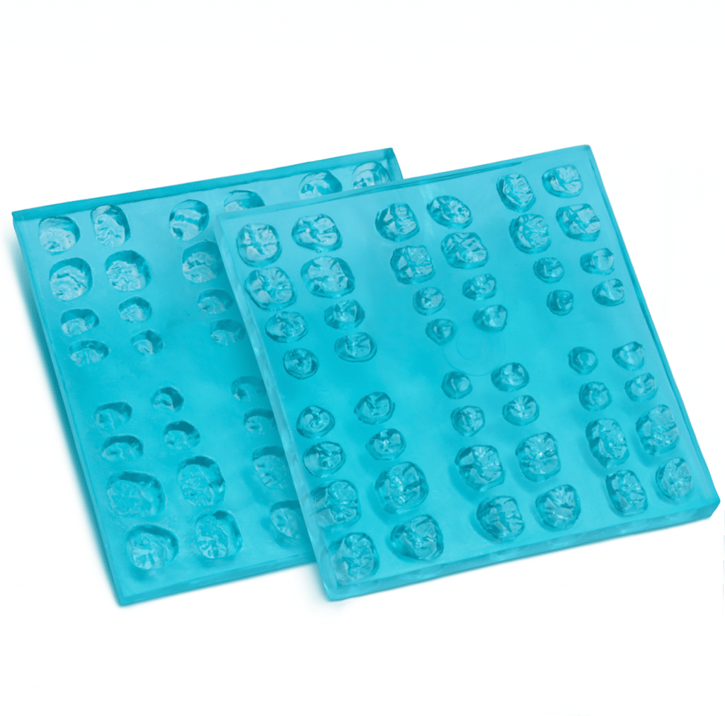 Moldes De Caras Oclusales Instrumental de Laboratorio Deposito Dental Odontology BG