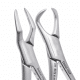 Forceps American