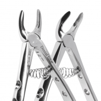 Forcep English Infantil