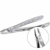 Forcep English Atraumatico Adulto Cirugía Deposito Dental Odontology BG