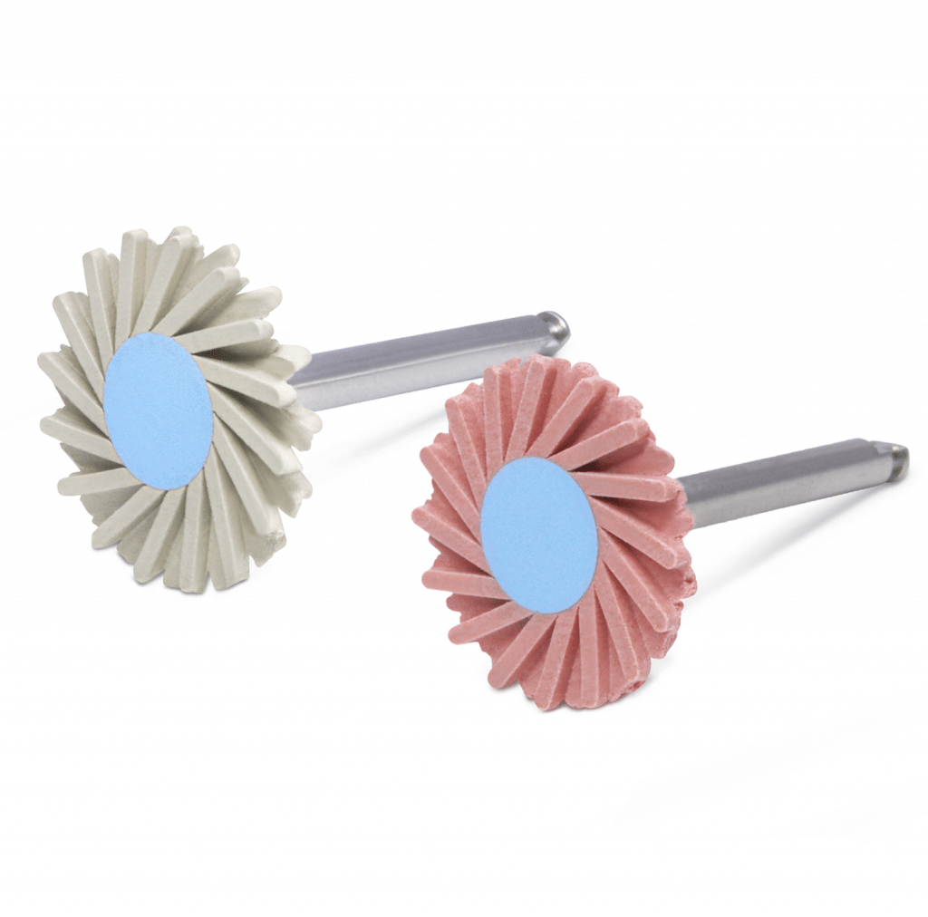 Pulidores Vitro Abrasivos Deposito Dental Odontology BG