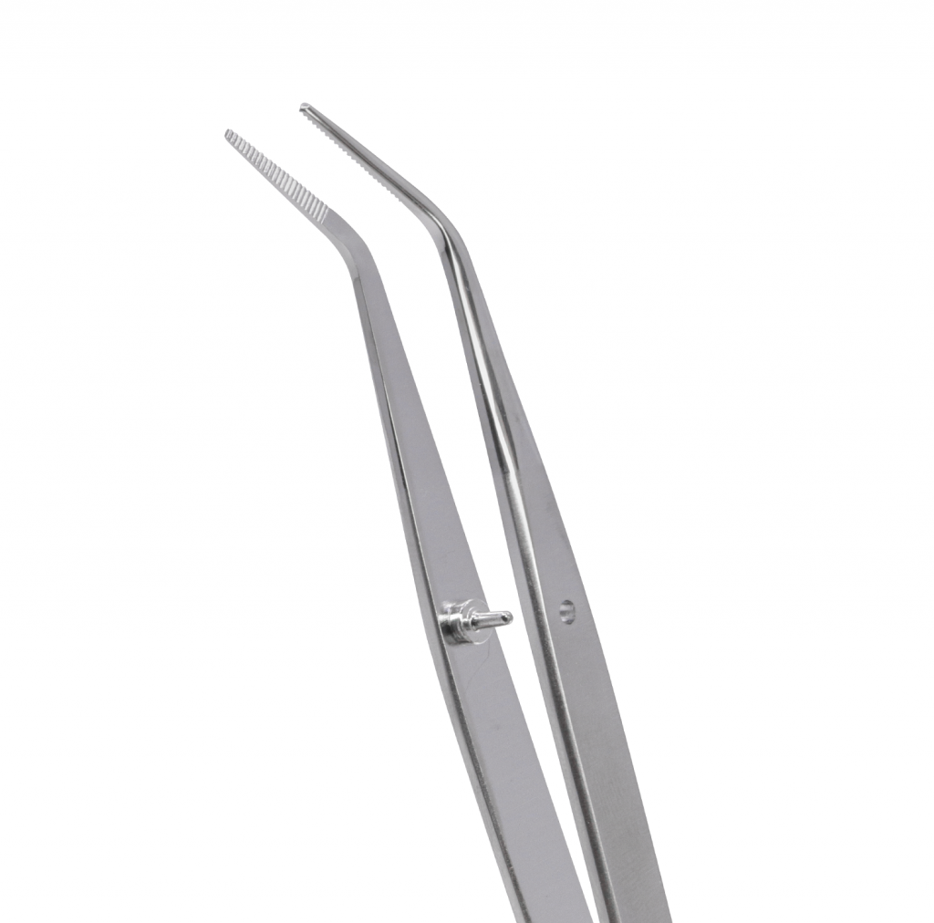 Pinza De Curacion (DP17) Diagnóstico Deposito Dental Odontology BG