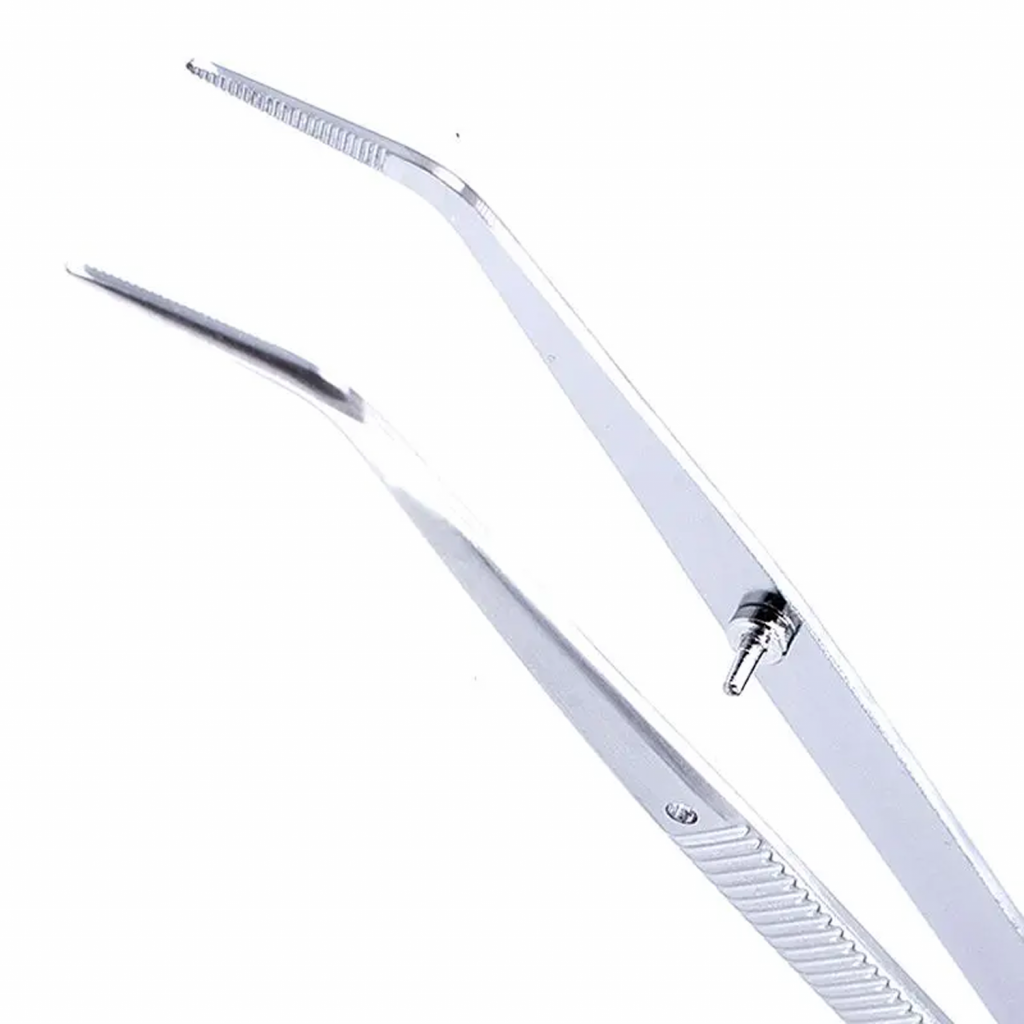 Pinza De Curación (DPU17) Diagnóstico Deposito Dental Odontology BG